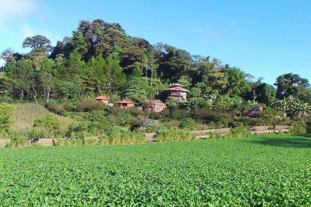 Photo of Outdoor in Puertas Azules