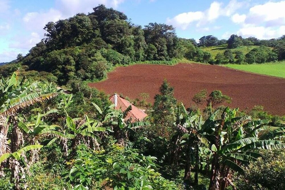 Photo of Outdoor in Puertas Azules