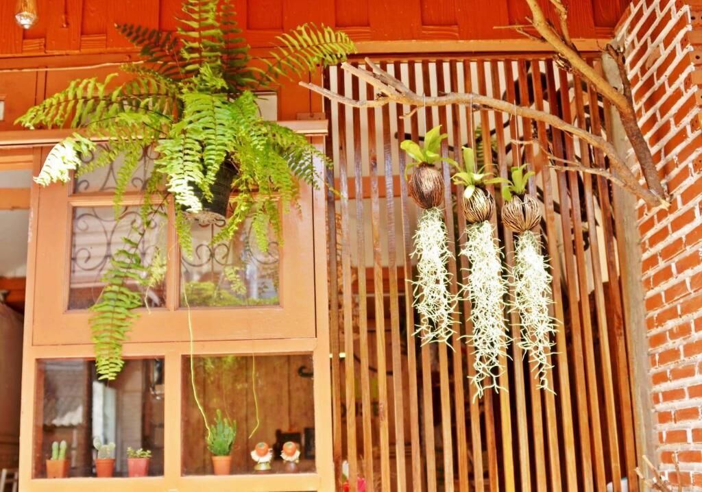 Photo of Patio Balcony in Wat Sam Phraya