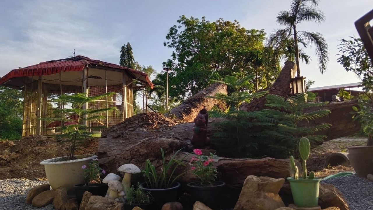 Photo of Outdoor in Ko Chang