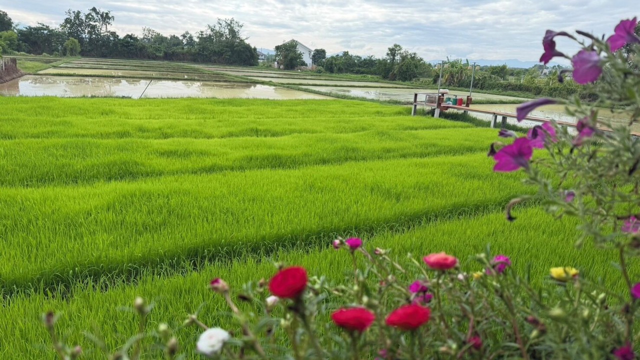Photo of Patio Balcony in San Pu Loei