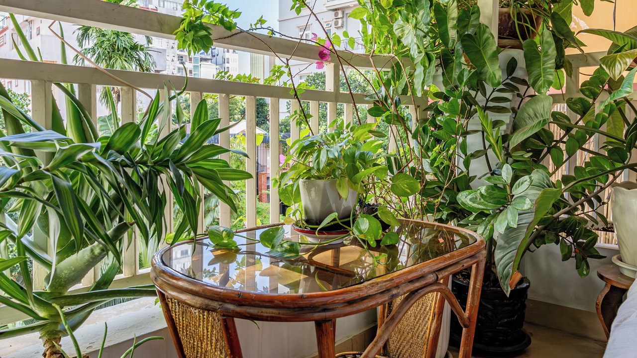 Photo of Patio Balcony in Chamkar Mon