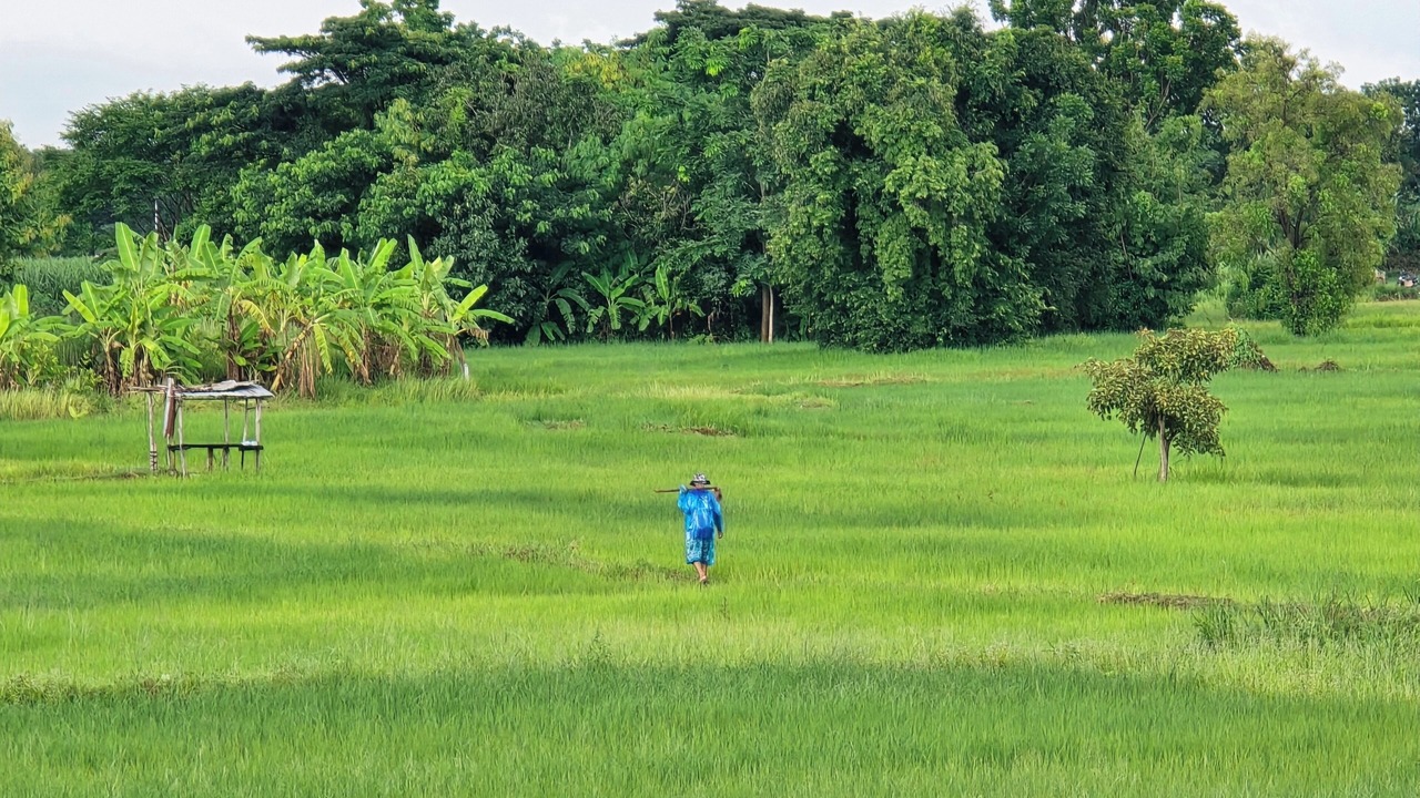 Photo of Outdoor in Nong Rua