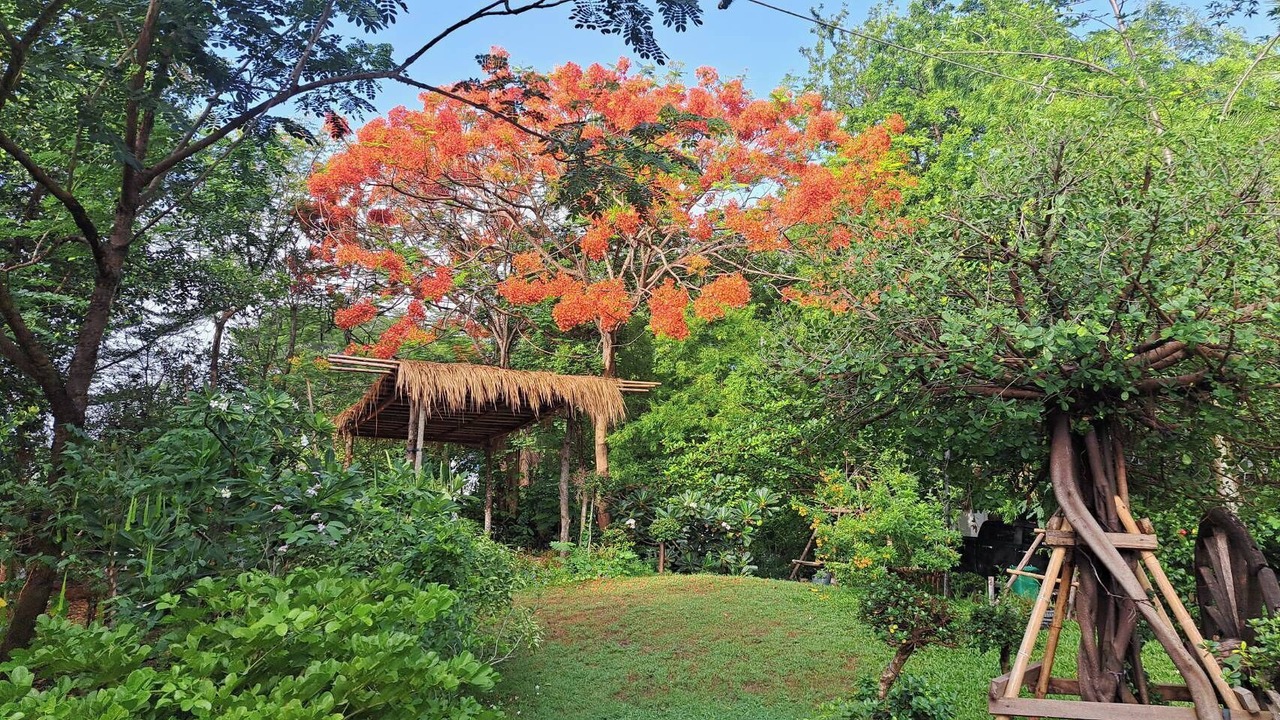Photo of Outdoor in Khlong Luang
