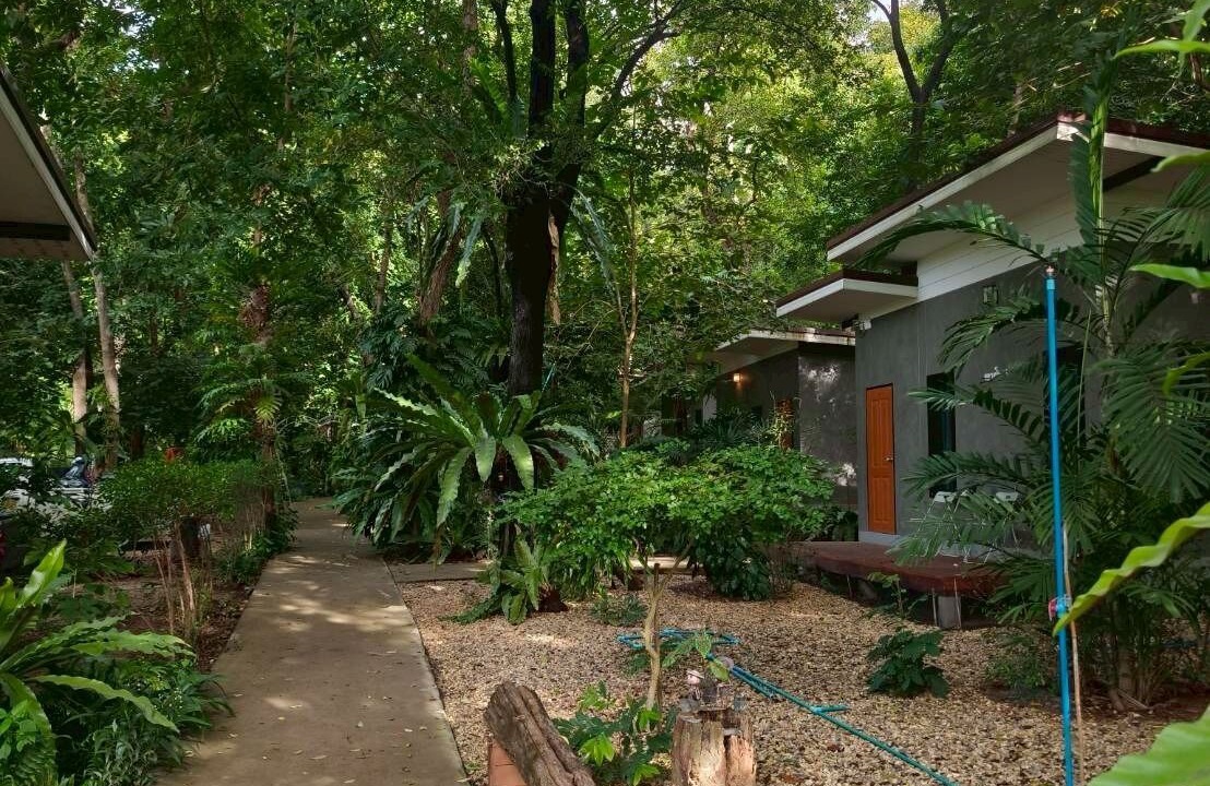 Photo of Outdoor in Uthai Thani
