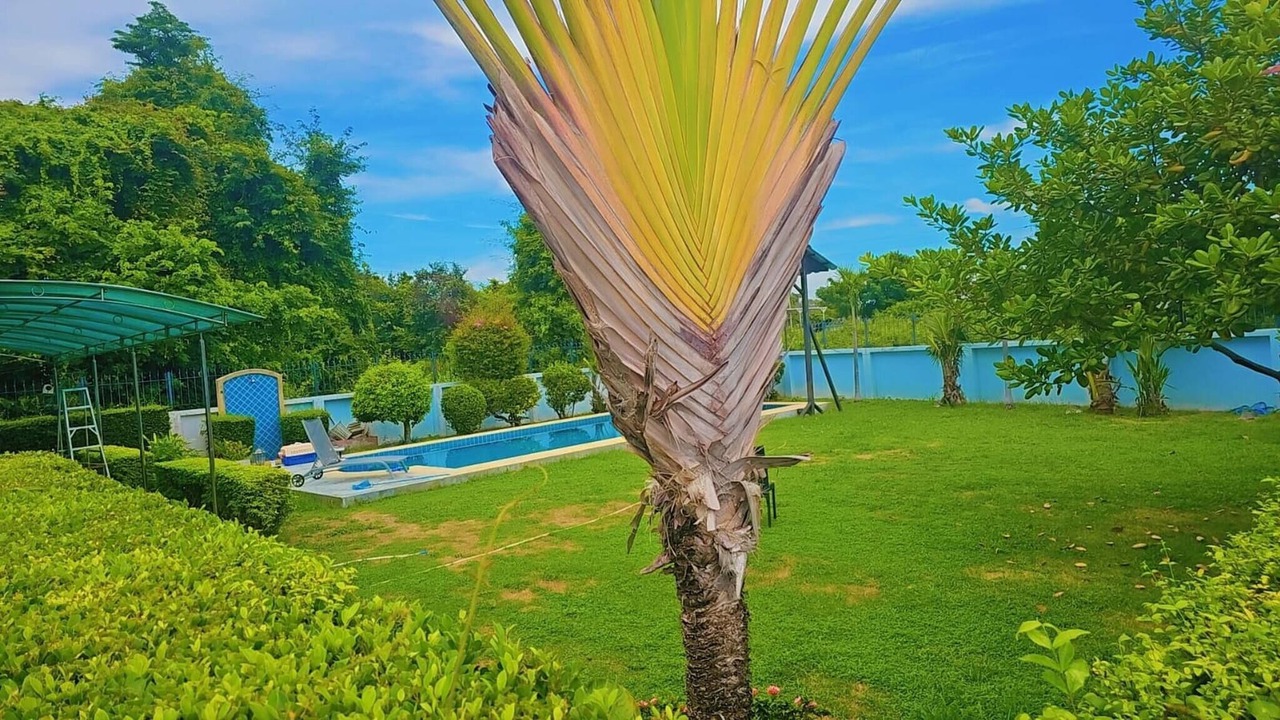 Photo of Outdoor in Central Pattaya