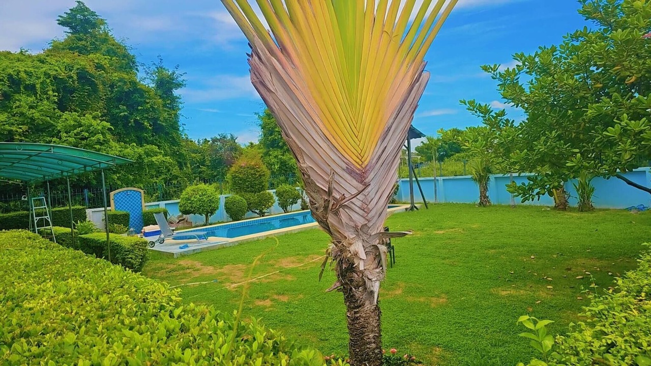 Photo of Outdoor in Central Pattaya