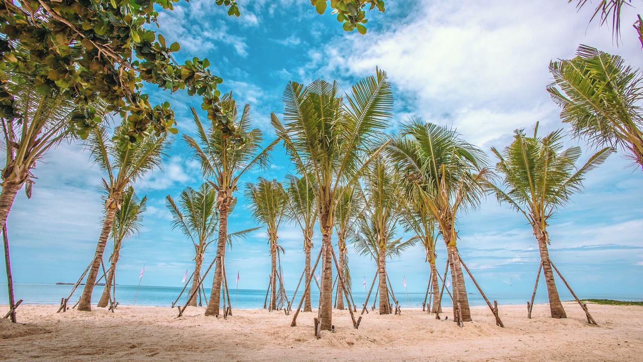 Photo of Others in Khanom