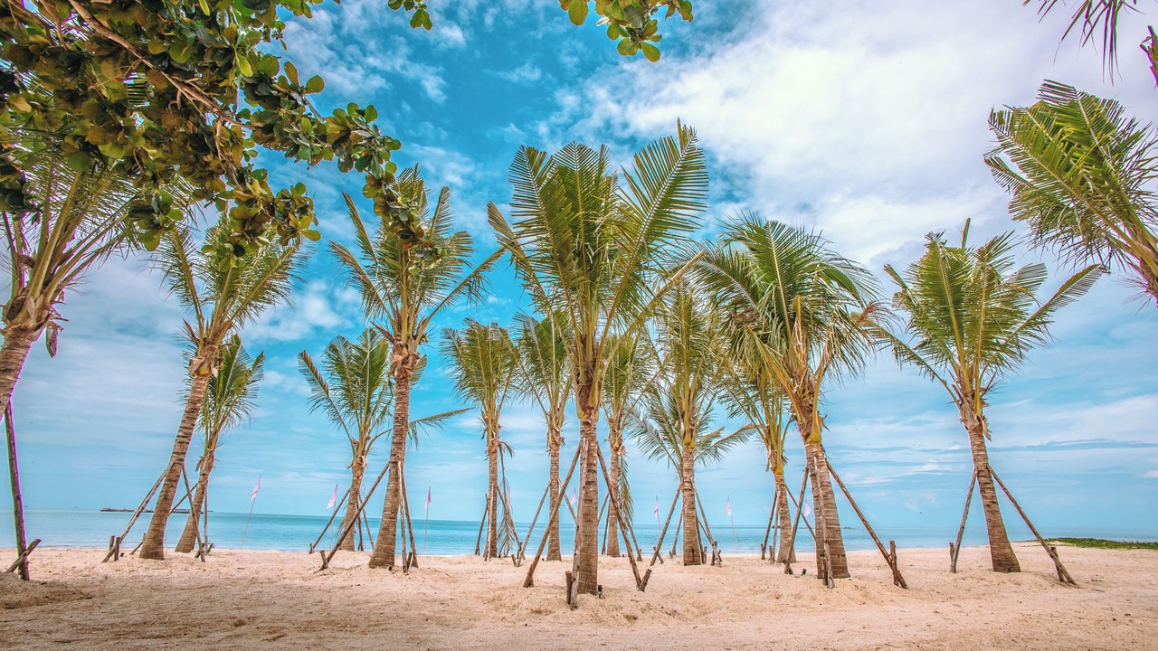 Photo of Others in Khanom