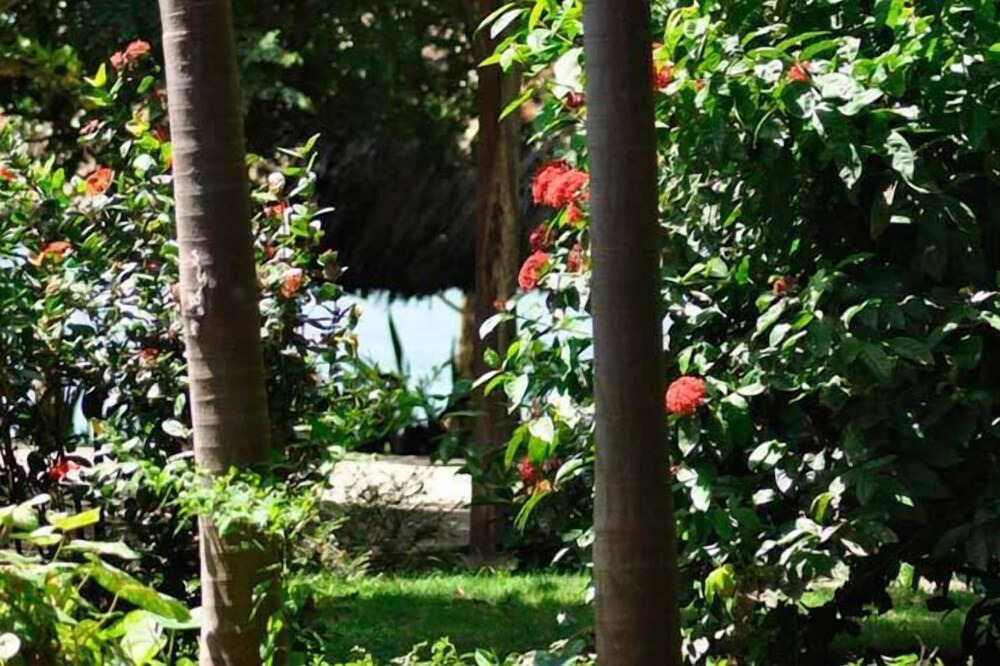 Photo of Outdoor in Moyogalpa