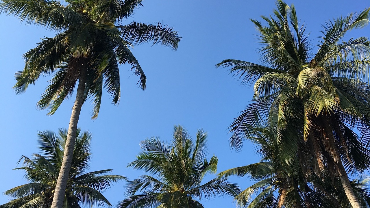 Photo of Outdoor in Koh Tao