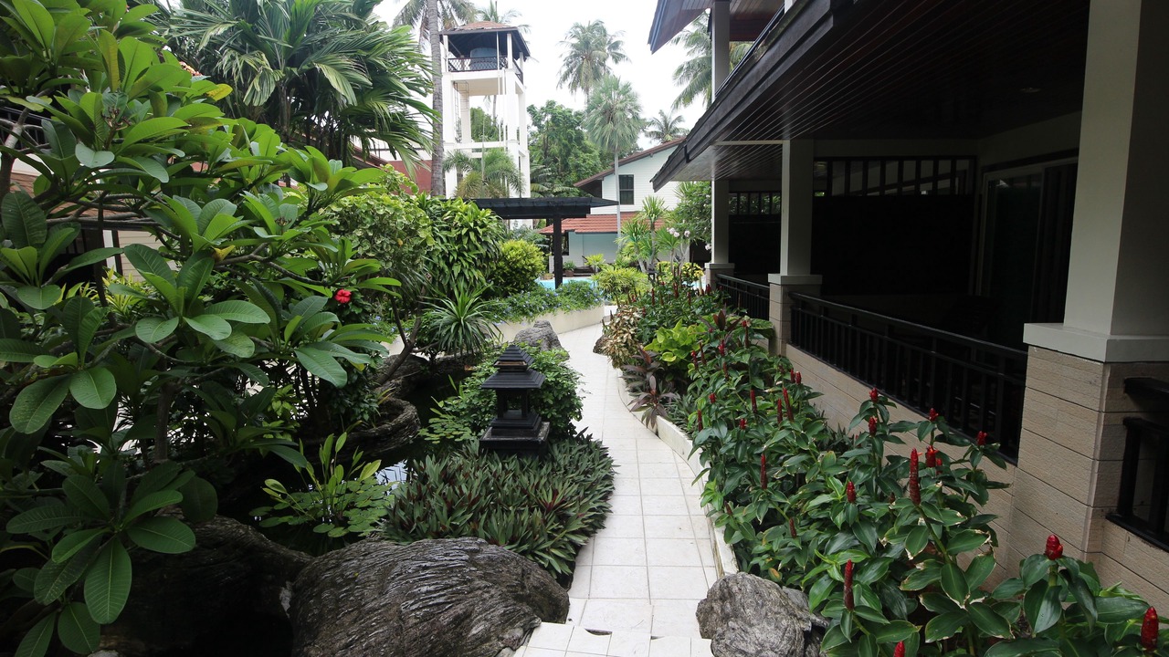 Photo of Outdoor in Ko Phi Phi