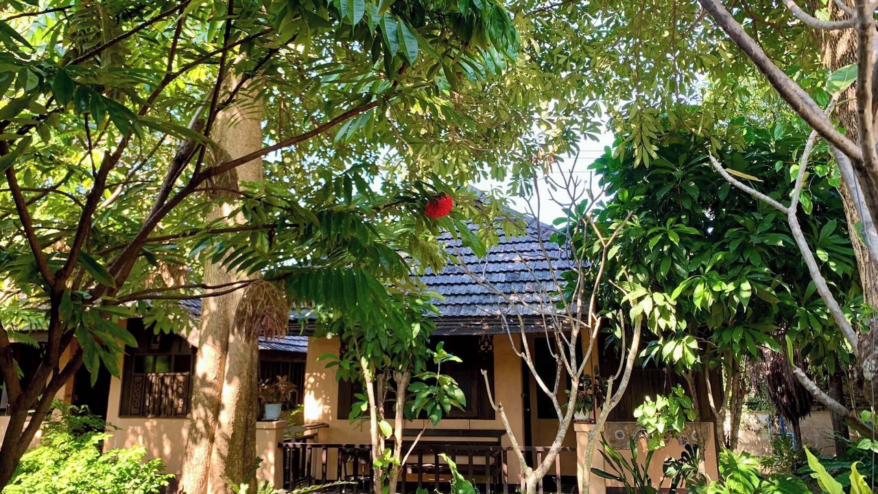 Photo of Others in Chang Phueak