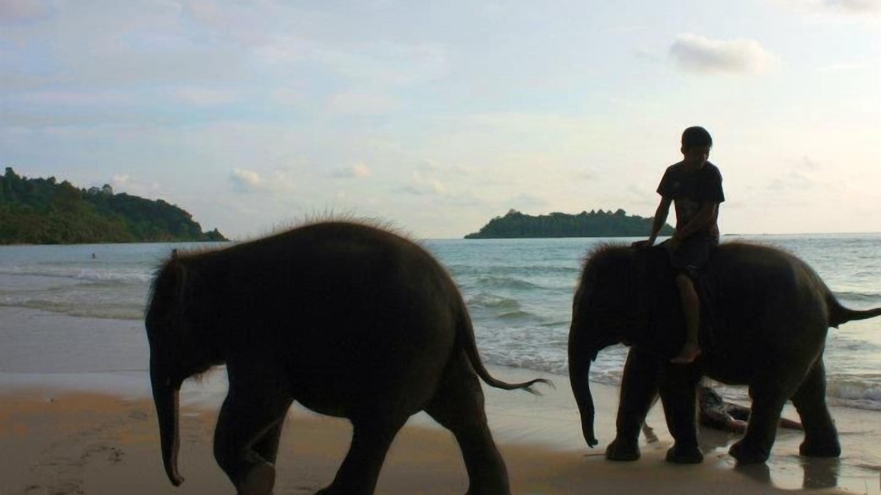 Photo of Others in Ko Chang