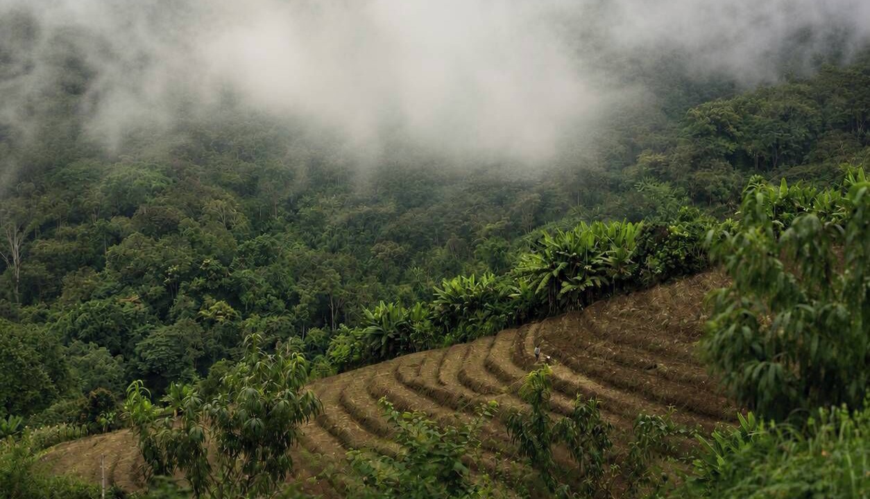 Photo of Outdoor in Mae Rim