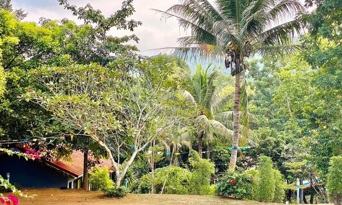 Photo of Outdoor in Song Phi Nong