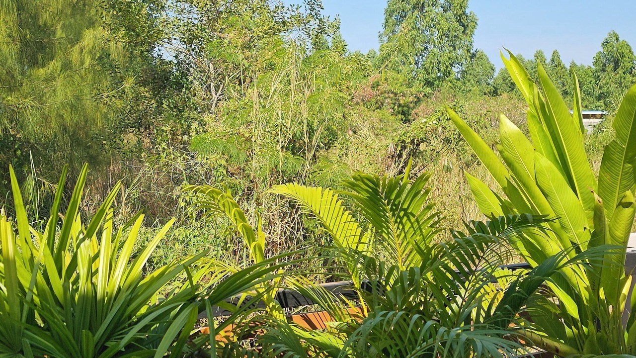 Photo of Outdoor in Ban Chang