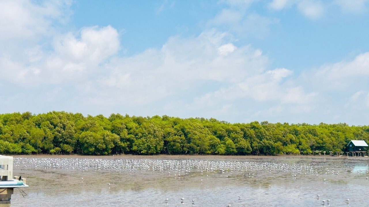 Photo of Outdoor in Mueang Samut Prakan District