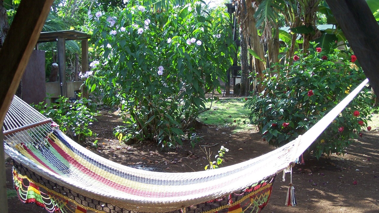 Photo of Others in Little Corn Island