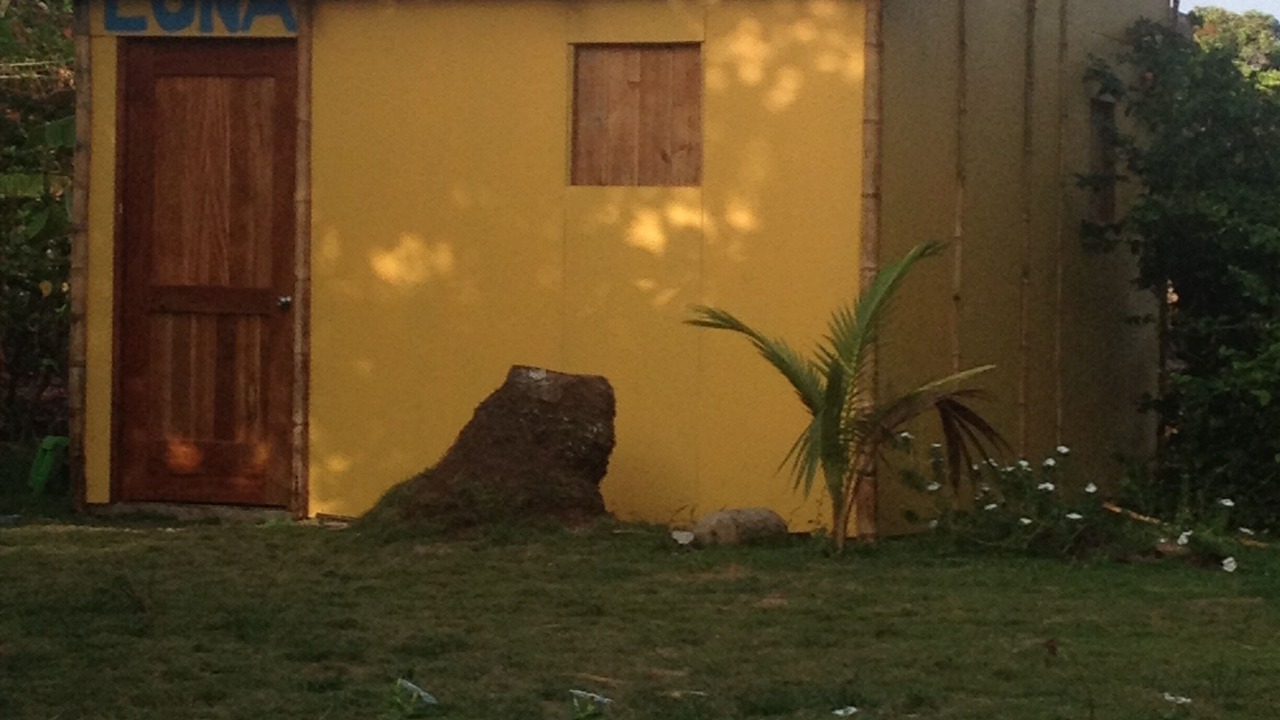 Photo of Others in Little Corn Island