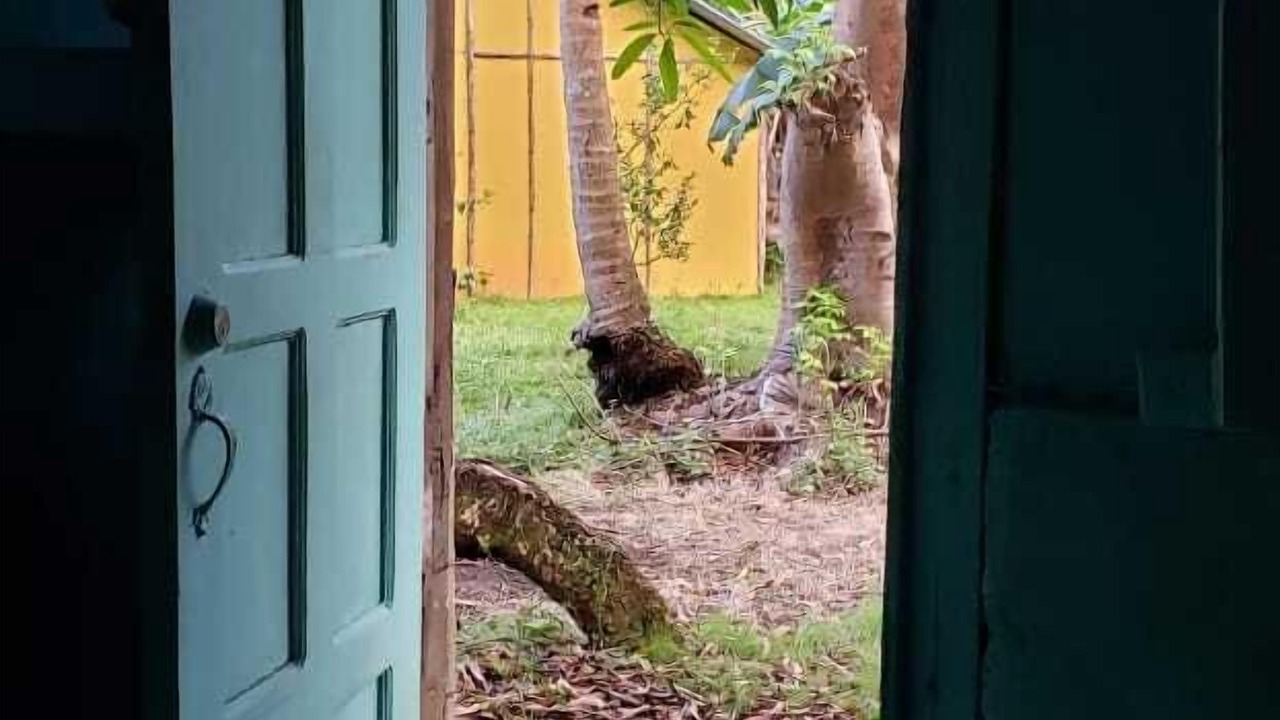 Photo of Others in Little Corn Island