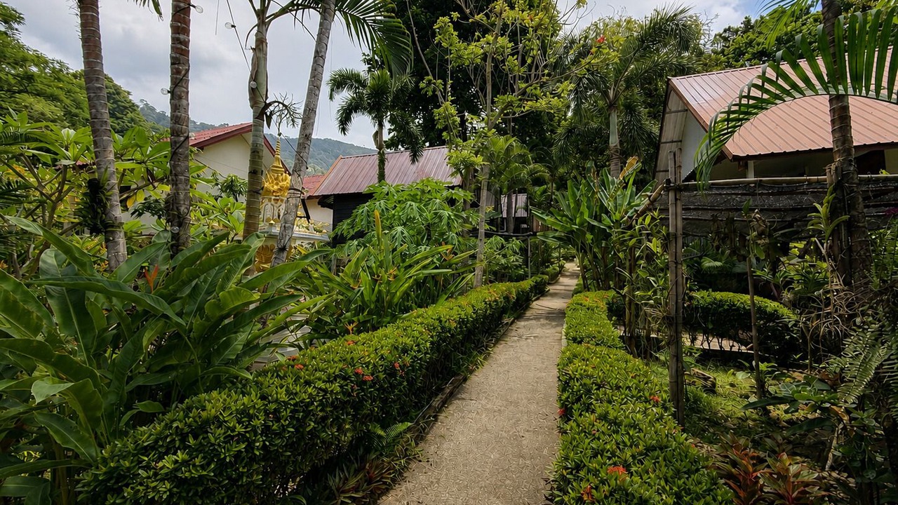 Photo of Outdoor in Bai Lan