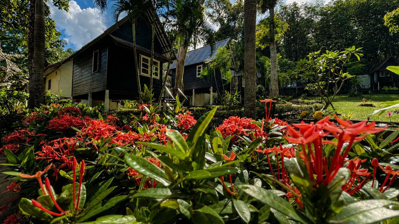 Photo of Outdoor in Bai Lan