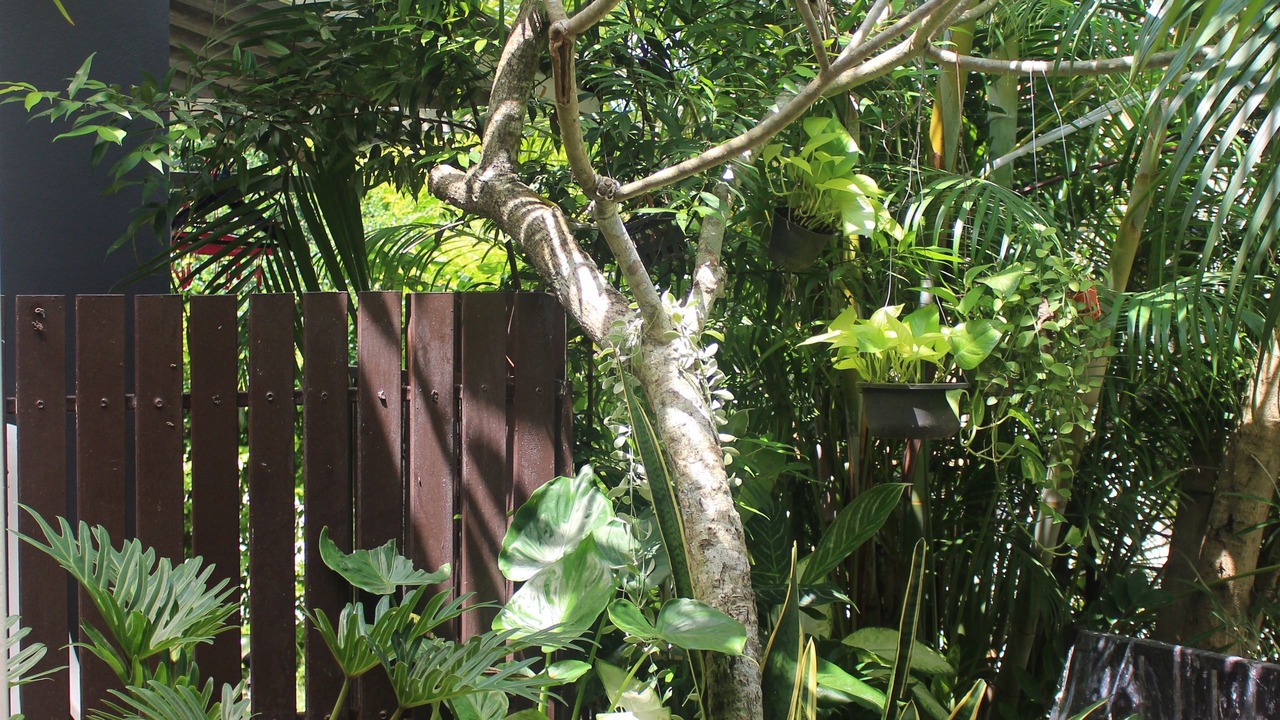 Photo of Outdoor in Ao Nang