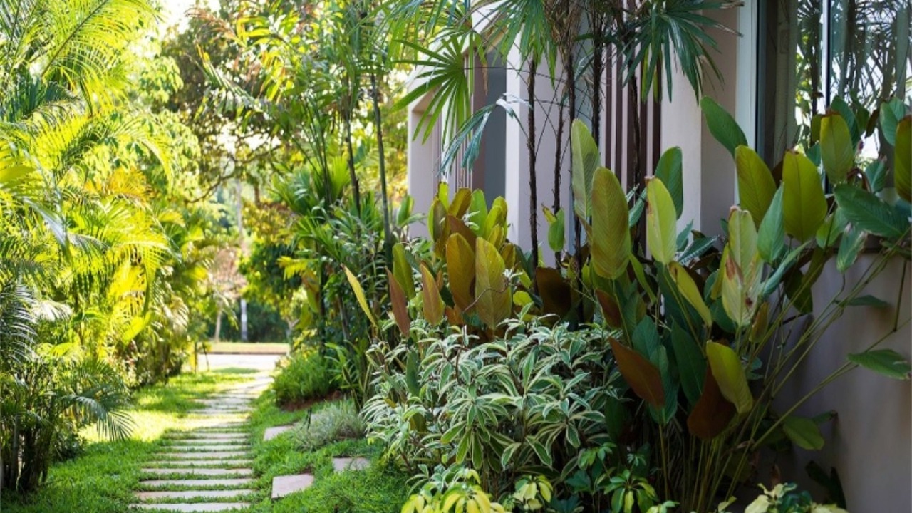 Photo of Outdoor in Pak Nam