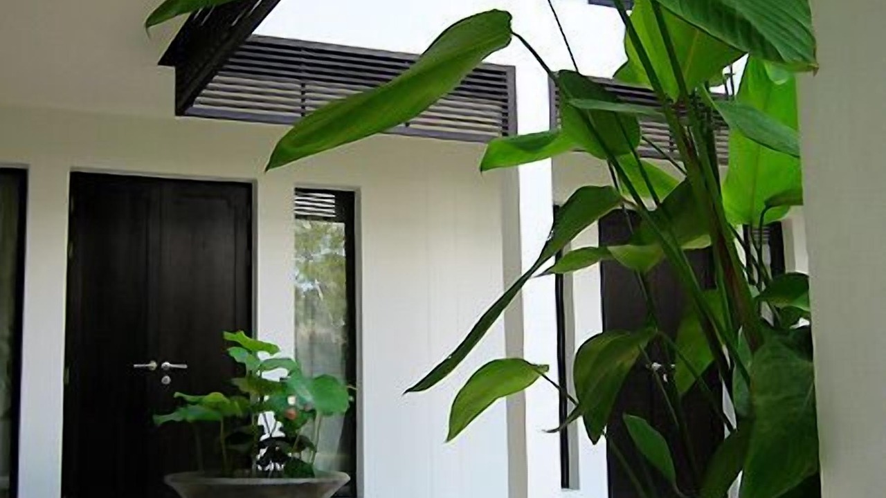 Photo of Outdoor in Wat Ket