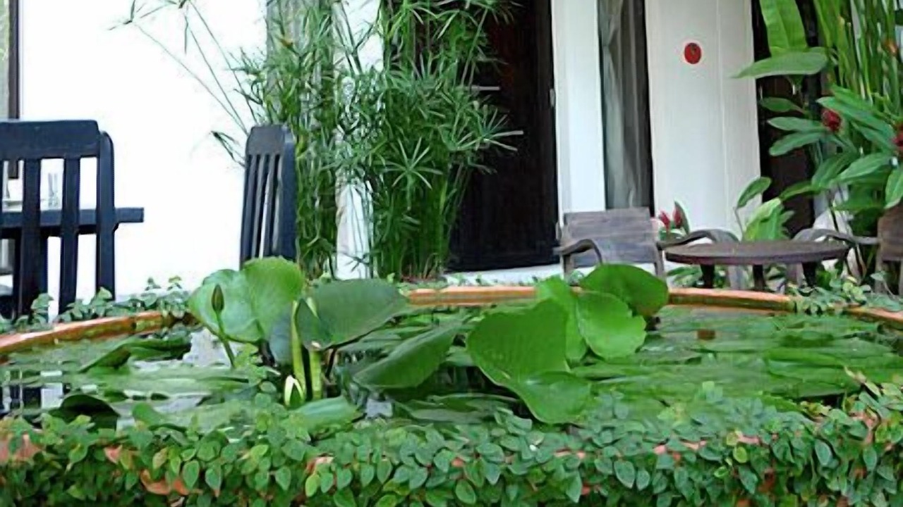 Photo of Outdoor in Wat Ket