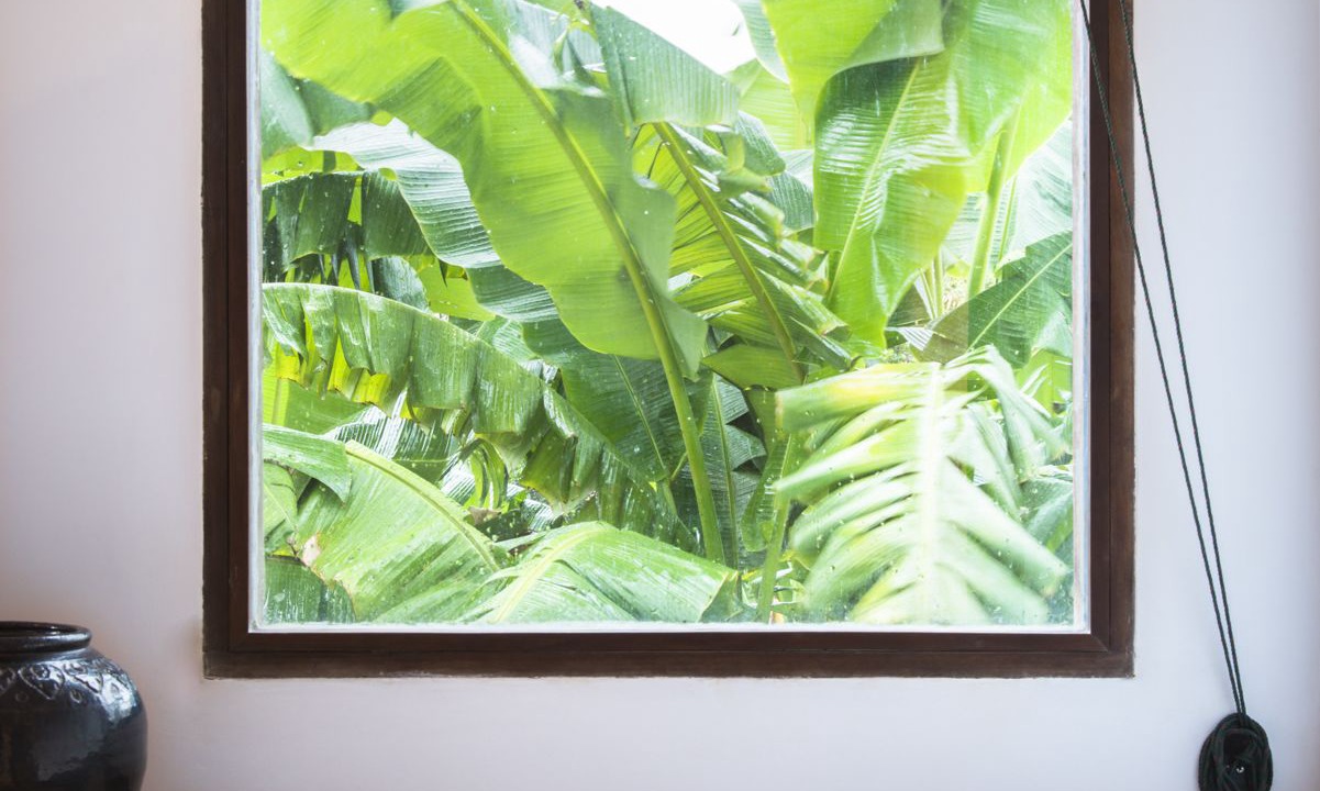 Photo of Outdoor in Wat Bo Area
