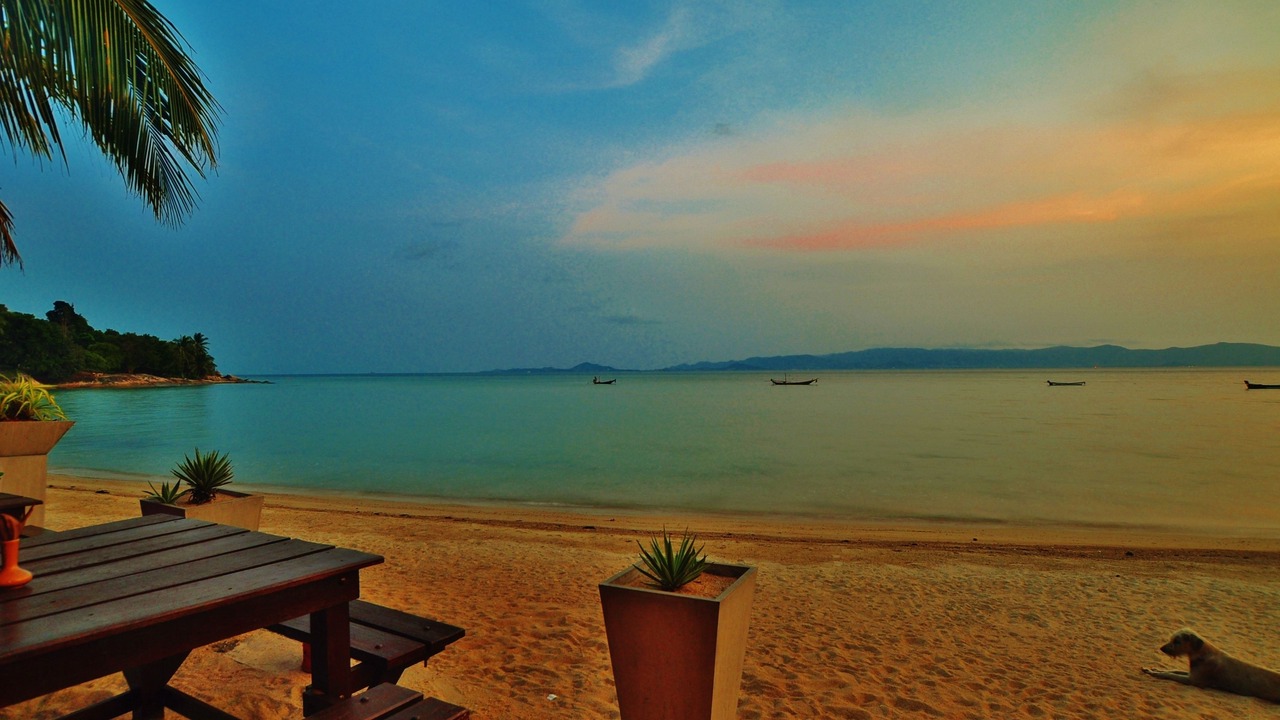 Photo of Others in Baan Tai