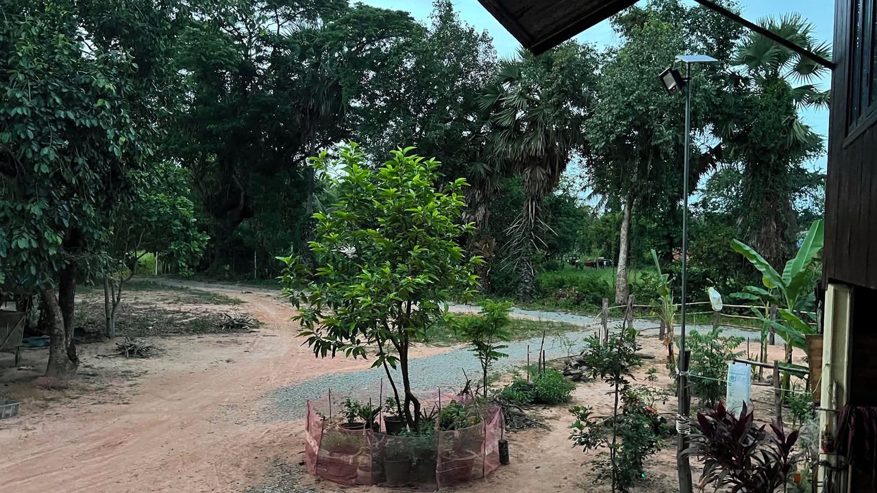 Photo of Outdoor in Prasat Bakong