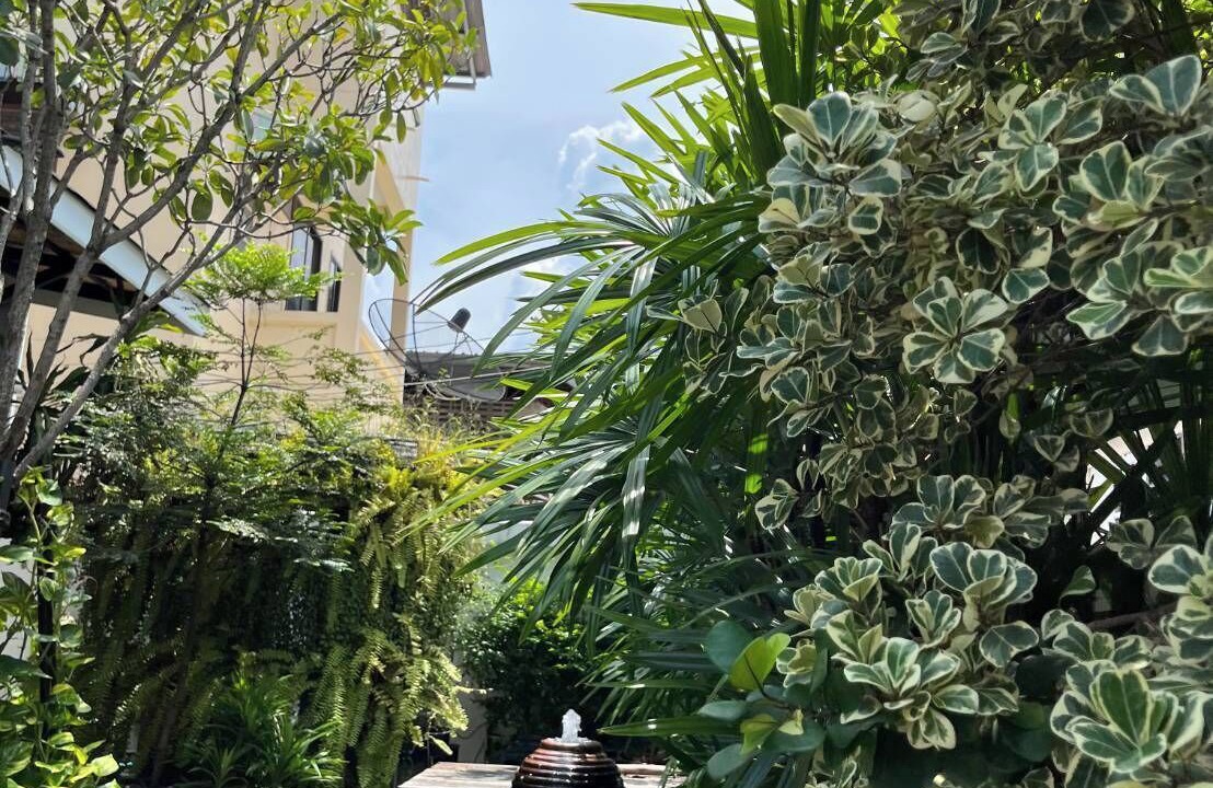Photo of Outdoor in Siriraj
