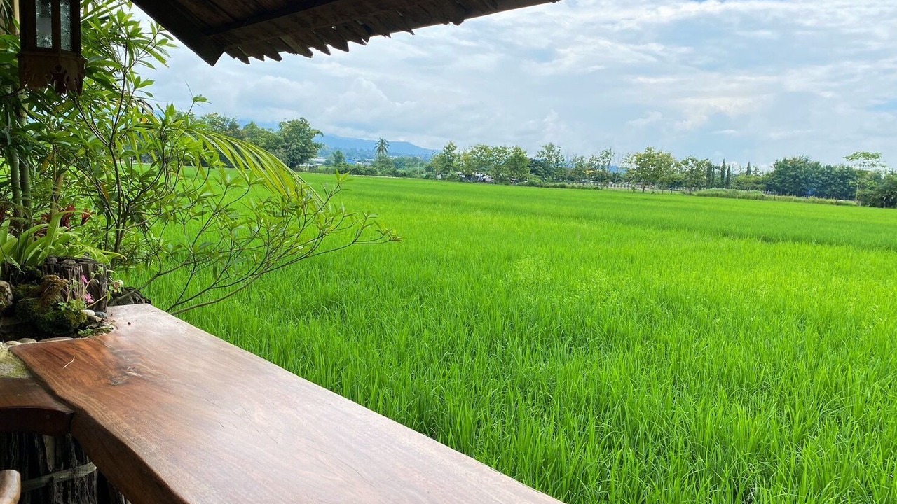 Photo of Outdoor in Mae Faek Mai