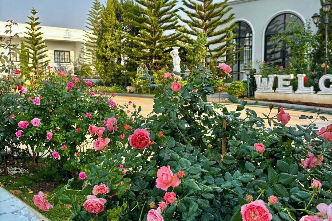 Photo of Outdoor in Dan Khun Thot