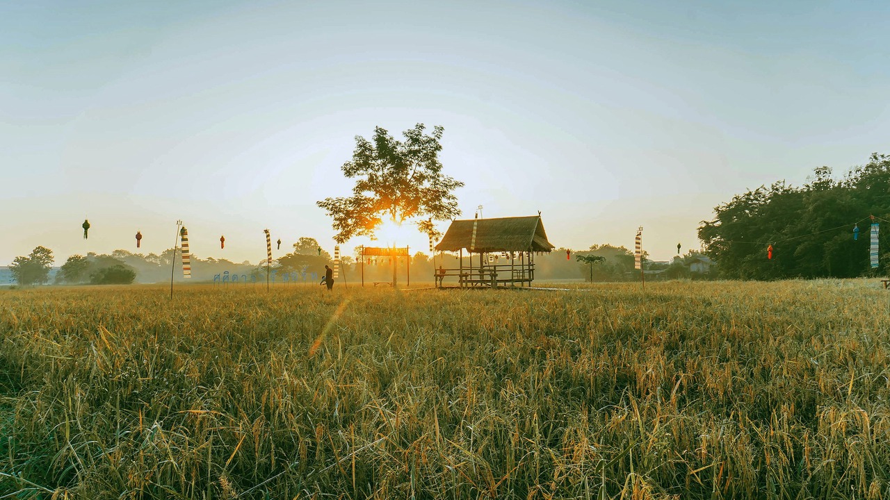 Photo of Outdoor in Nan