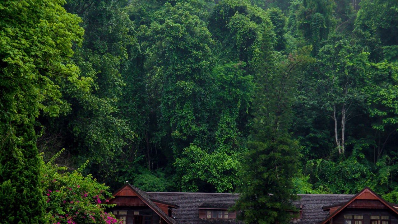 Photo of Outdoor in Su Thep