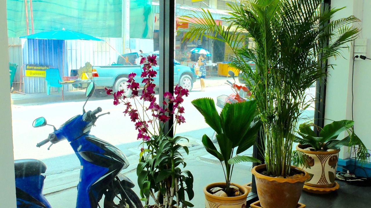 Photo of Others in Don Muang
