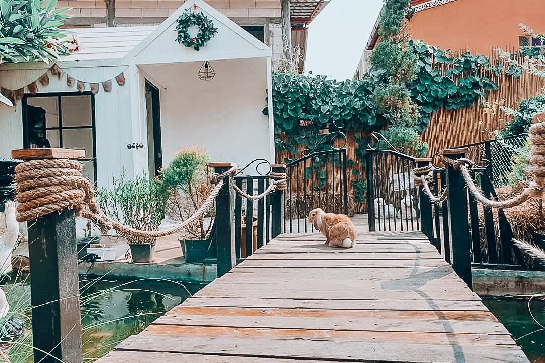 Photo of Others in Koh Lan