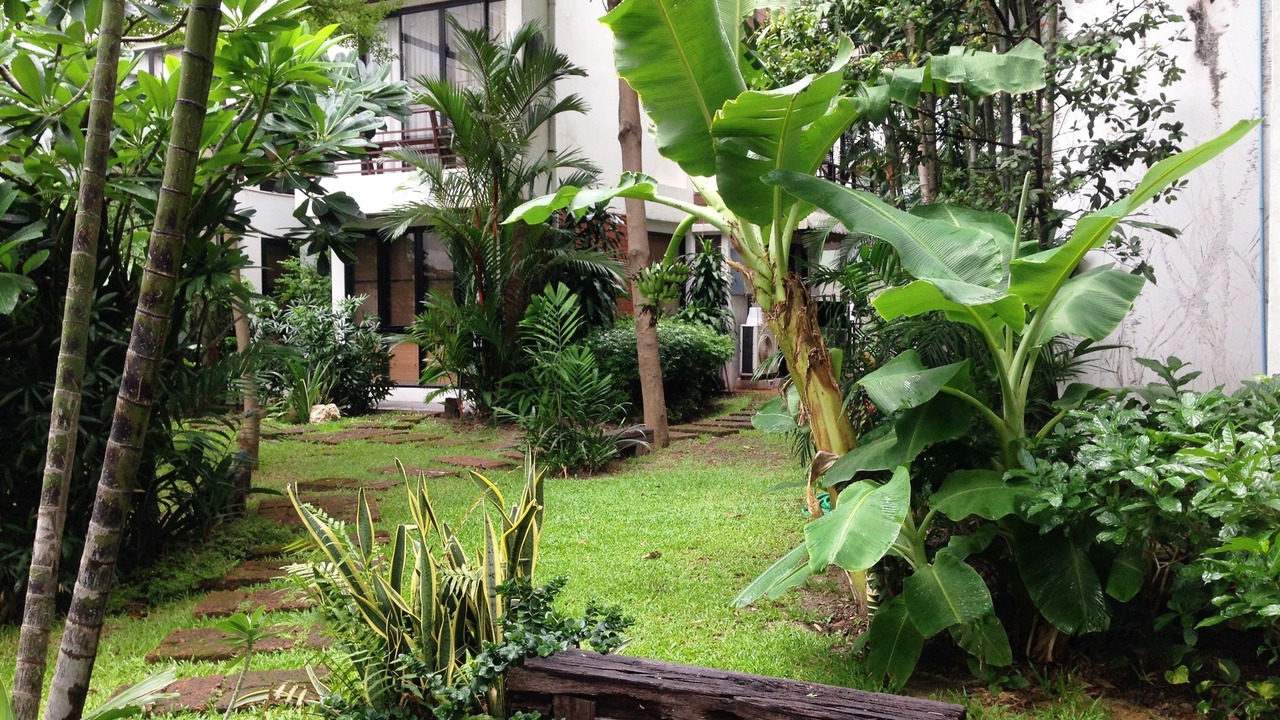 Photo of Outdoor in Ratchathewi