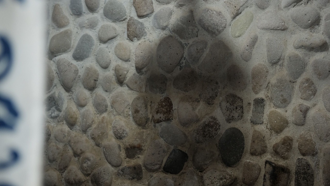 Photo of Bathroom in Aserradores