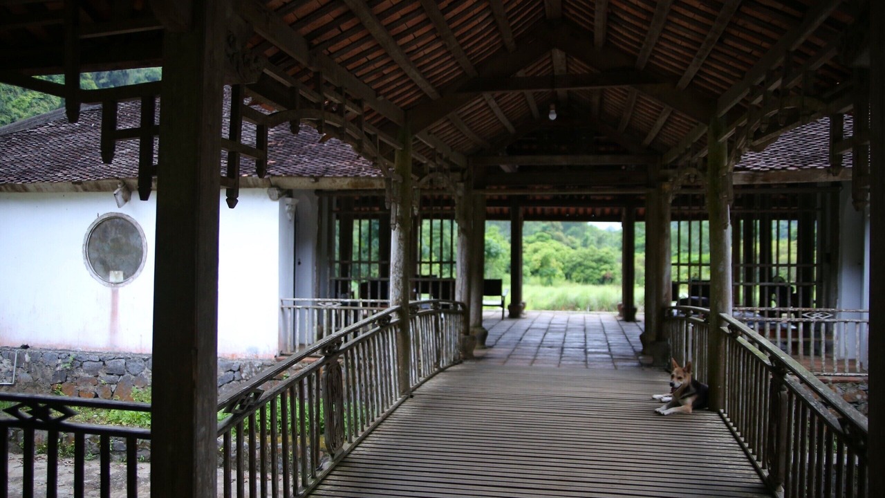 Photo of Outdoor in Cat Hai