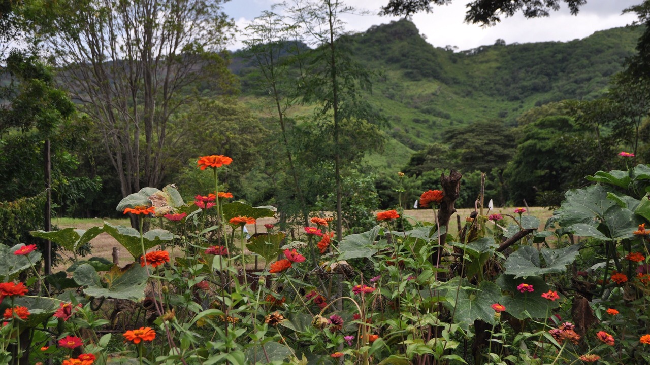 Photo of Outdoor in Boaco