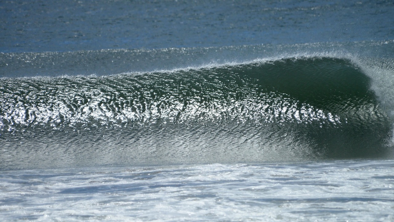 Photo of Others in Playa Colorado