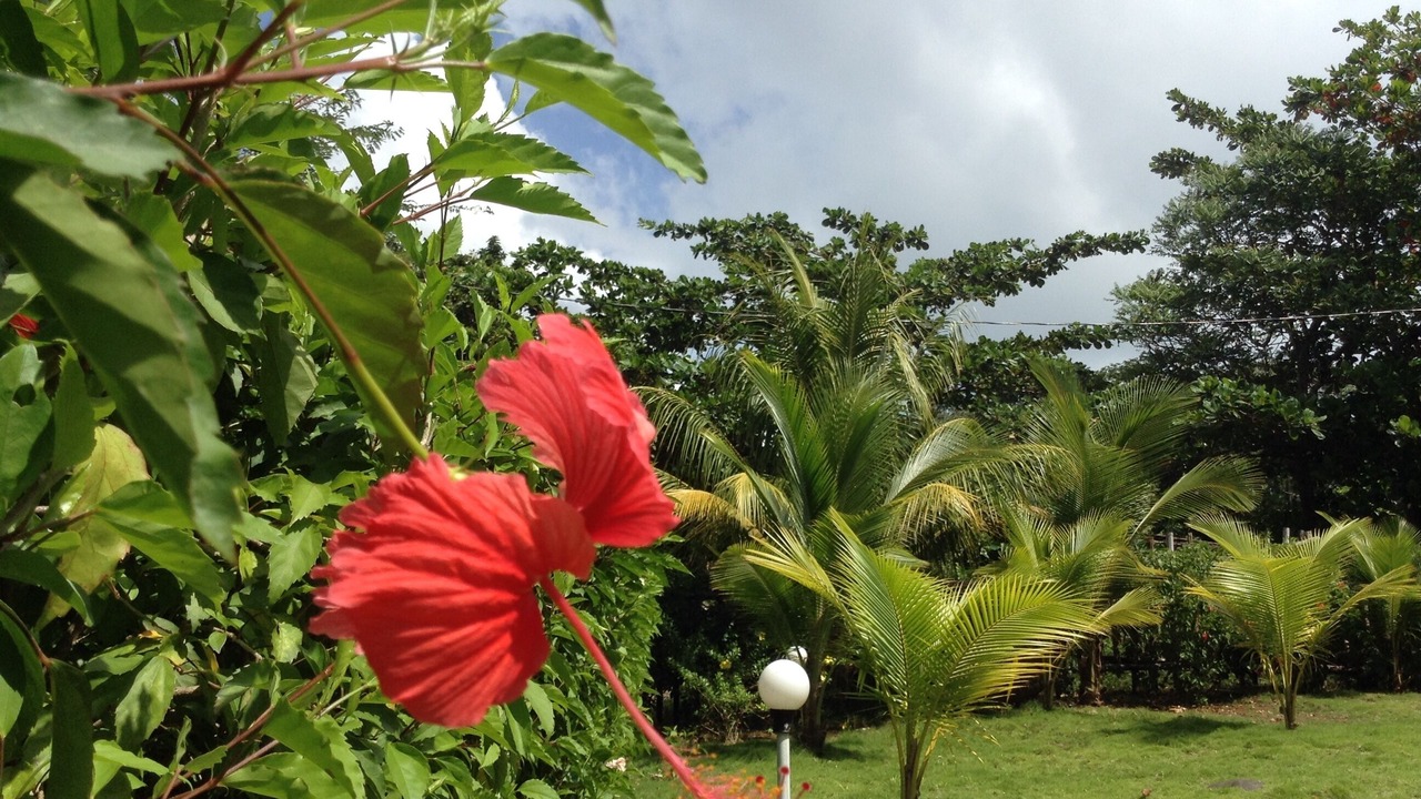 Photo of Outdoor in Corn Island
