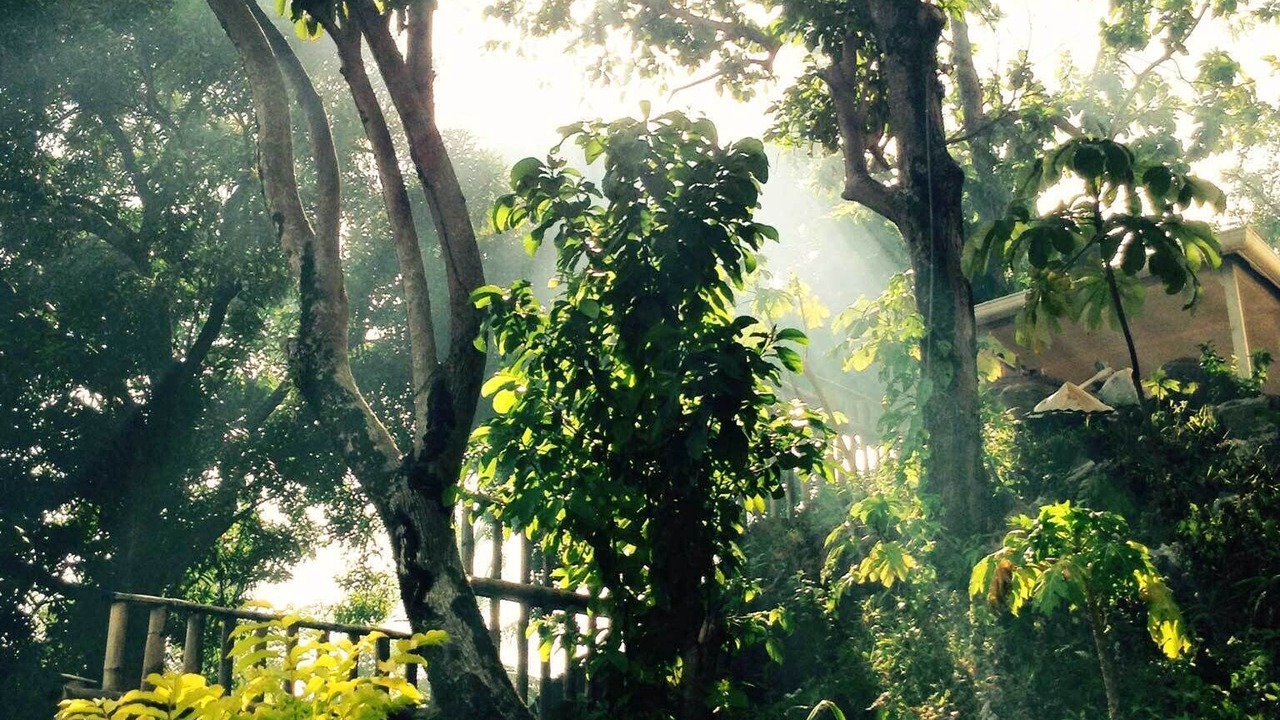 Photo of Outdoor in Corn Island