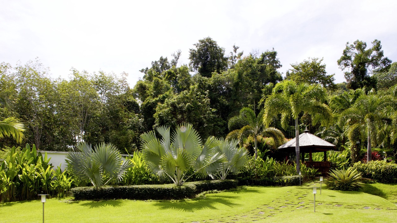 Photo of Others in Krabi