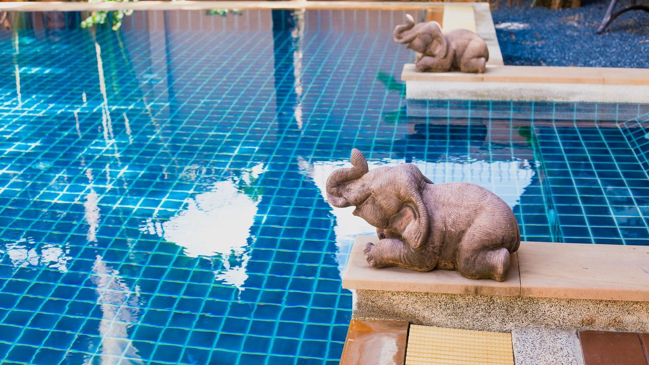 Photo of Others in Ao Nang